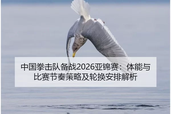 中国拳击队备战2026亚锦赛：体能与比赛节奏策略及轮换安排解析