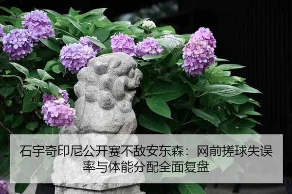 shi-yu-qi-yin-ni-gong-kai-sai-bu-di-an-dong-sen-wang-qian-cuo-qiu-shi-wu-lv-yu-ti-neng-fen-pei-quan-mian-fu-pan-2-338.jpg
