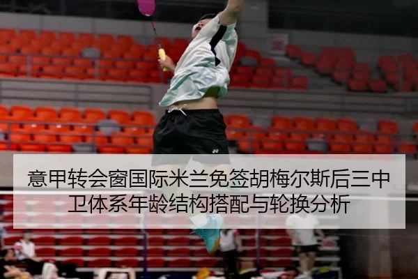 意甲转会窗国际米兰免签胡梅尔斯后三中卫体系年龄结构搭配与轮换分析